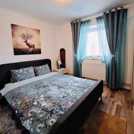 Hellen Studio Predeal Dış mekan fotoğraf